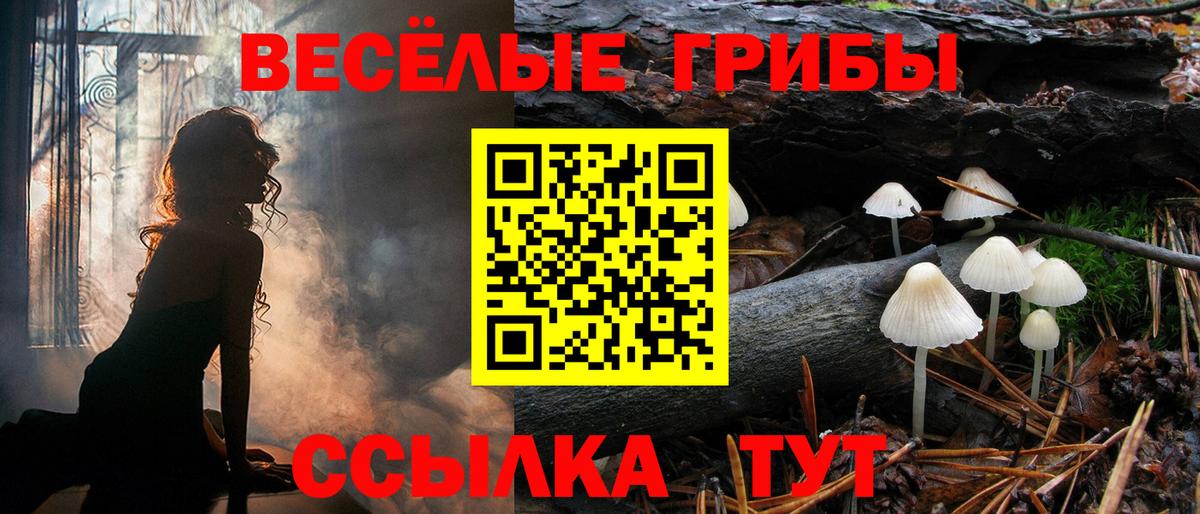 Галлюциногенные грибы прущие грибы  Вход с VPN  купить наркоту  Бийск  Галлюциногенные грибы прущие грибы 